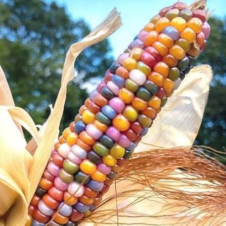 photo by natalia on pinterest