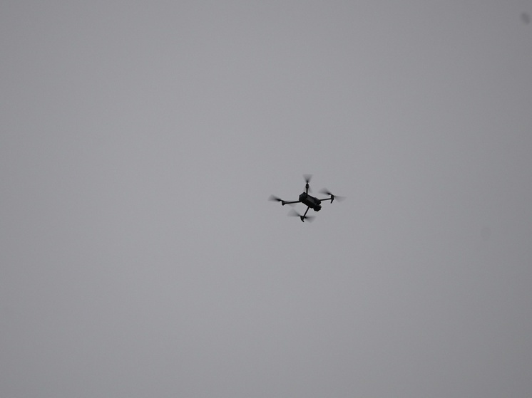 Фото: Светлана Мулыкина
