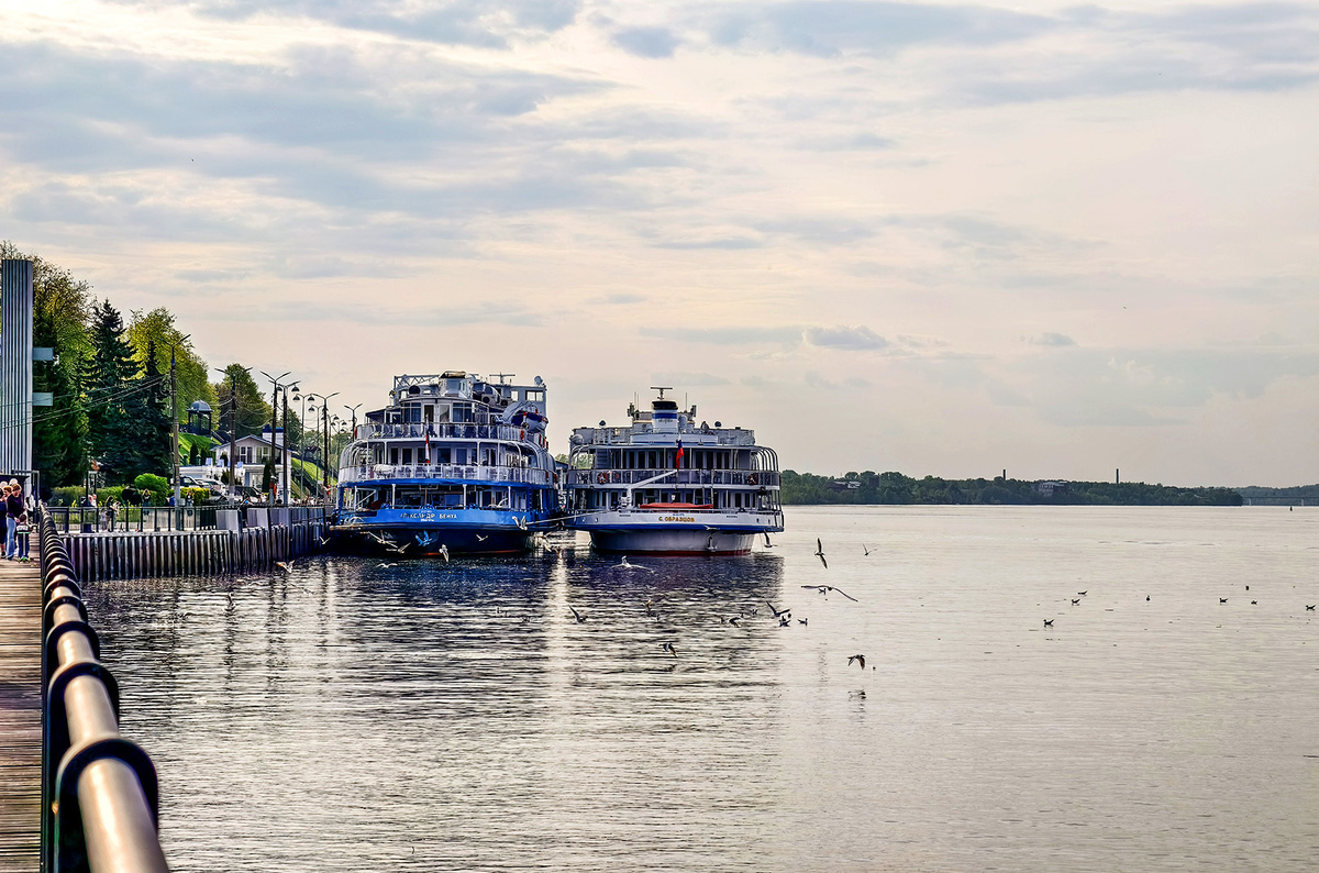    Светлана Парфенова