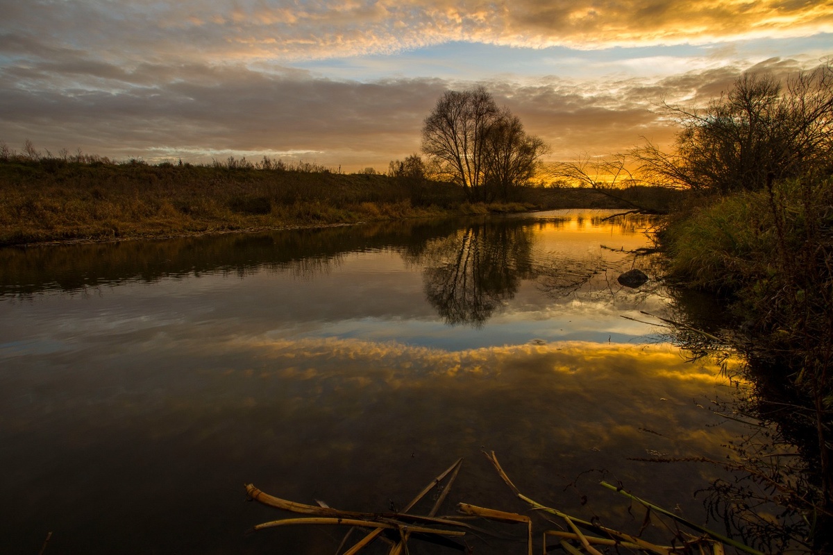 Фото: Александр Панов.