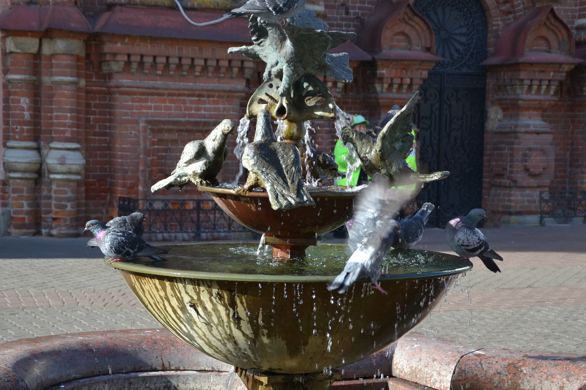 Фото автора. Любимый фонтан. Листаем..