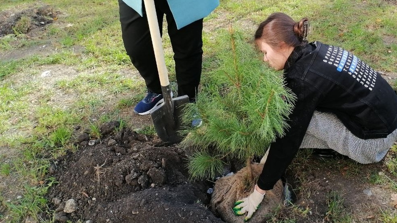      Фото: Виктория Ветер / / ИА «Победа26»