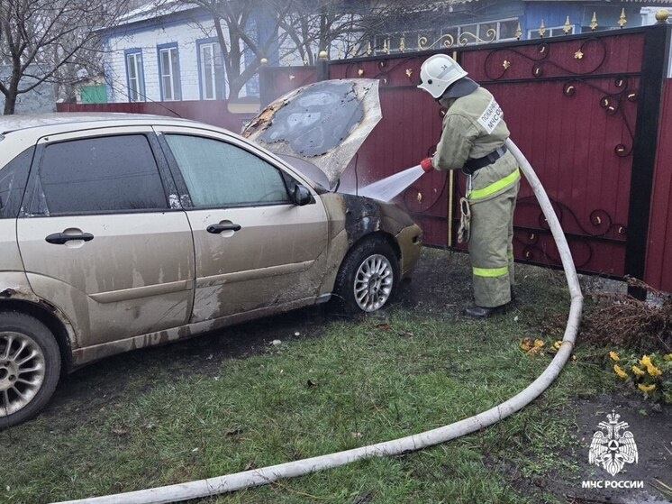     В Ровеньском округе из-за неисправности сгорел «Форд Фокус», фото: t.me/mchs31