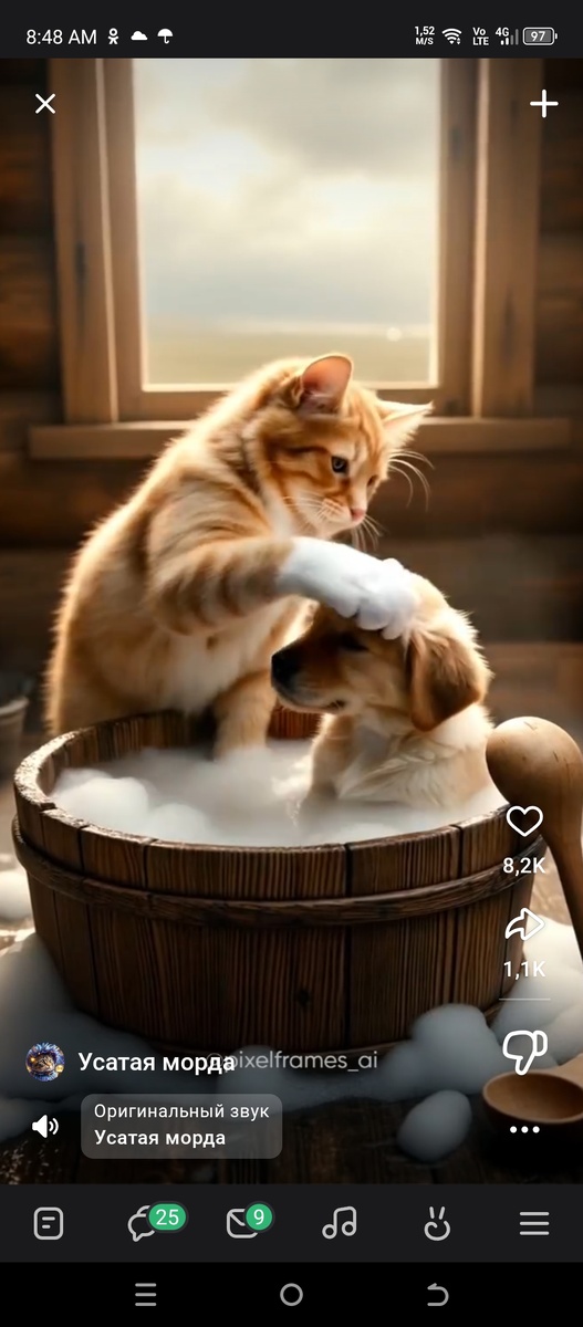 Скриншот с экрана