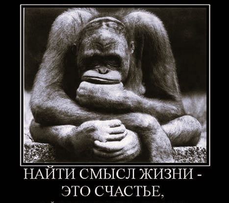 С чем не согласны, что не так?