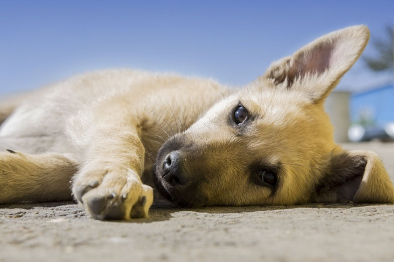     Фото: PxHere.com