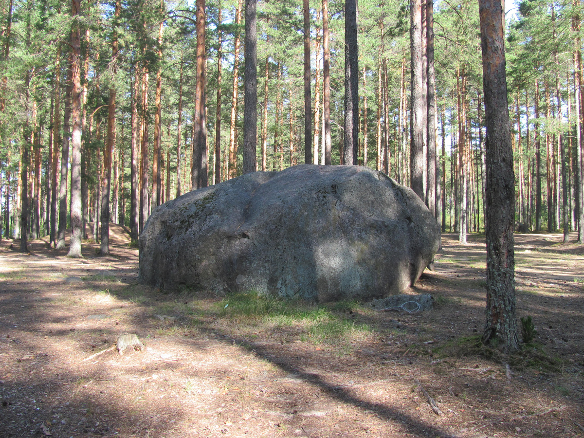 Листайте галерею