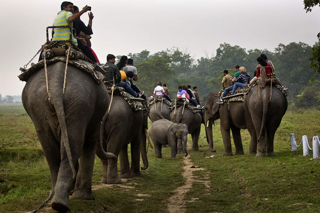 Фото: TASS/AP/Anupam Nath