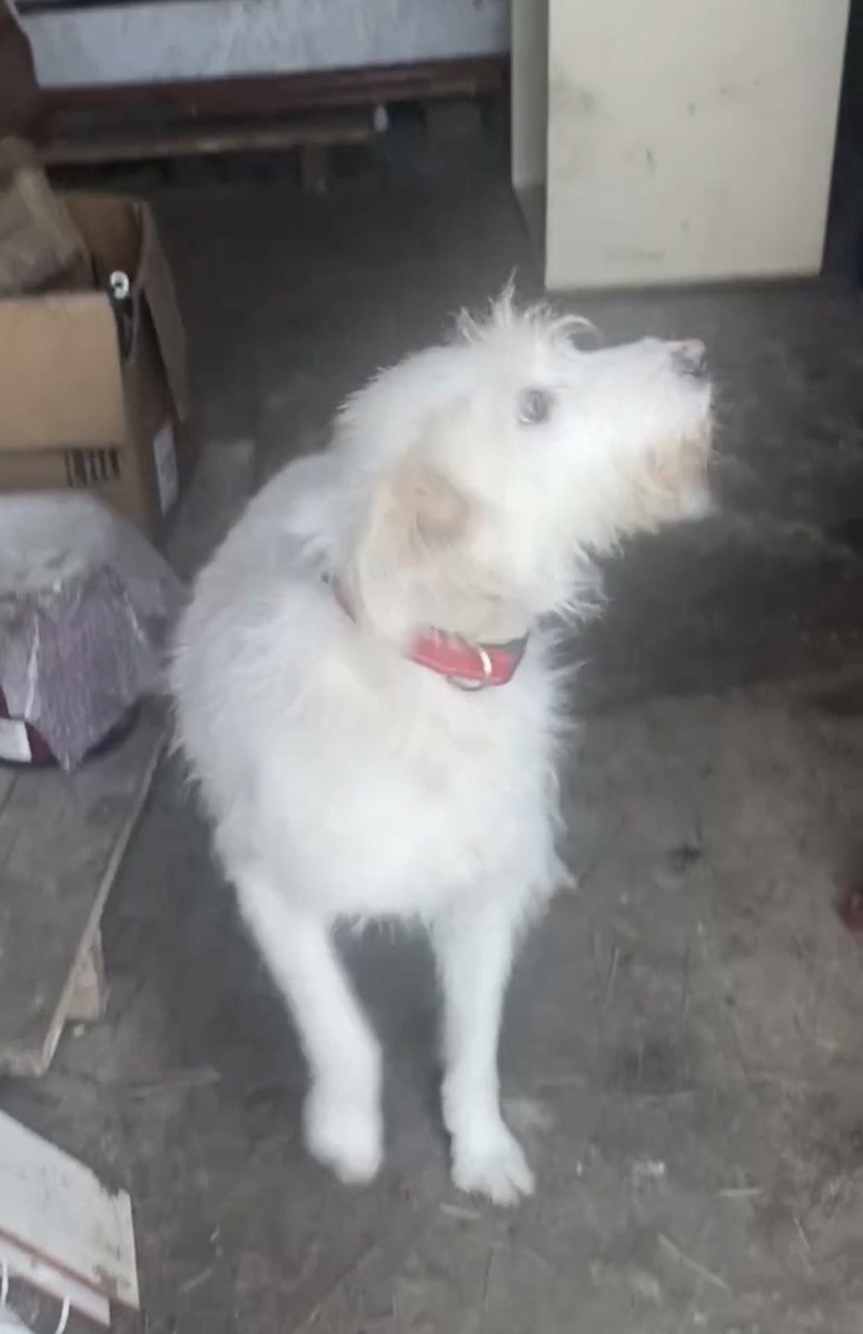 Бороду еще не успела вытереть, а уже прибежала детей проверять. Фото из архива автора