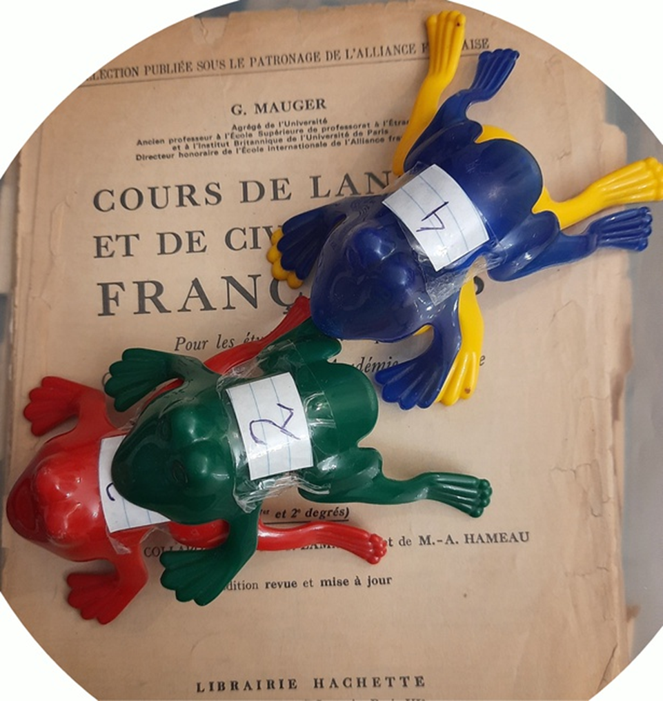 Все фотографии в статье мои