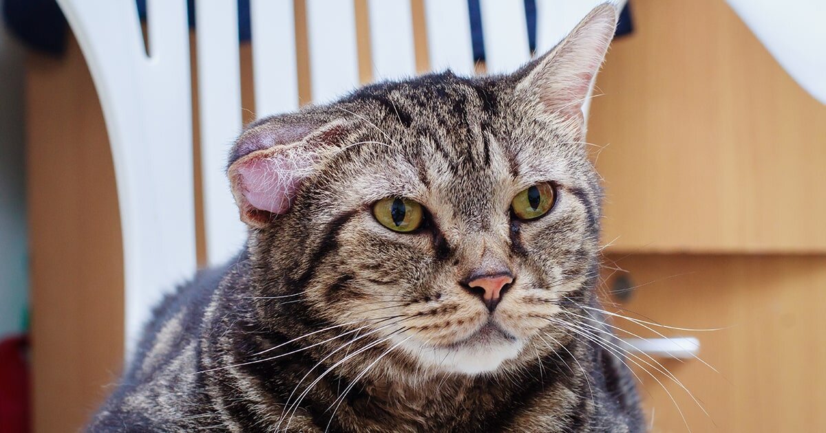 Фотография из интернета