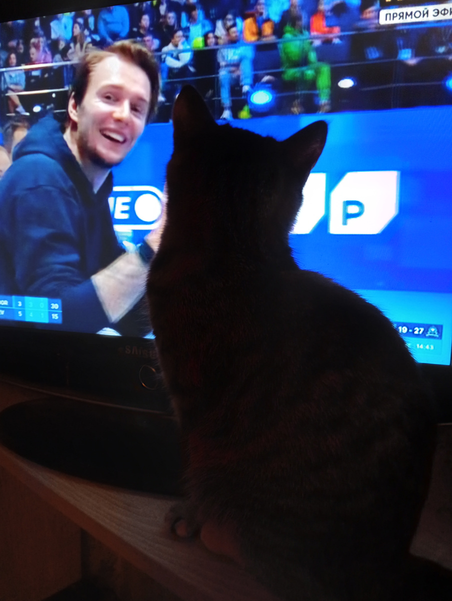 Шпротинка - Батюшки, со мной разговаривает игрок! Советуется!