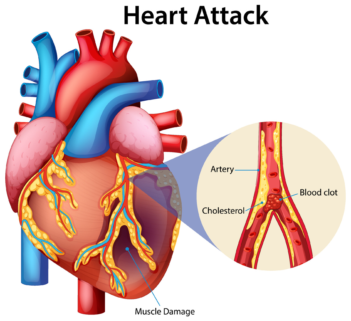 Фото brgfx с Freepik