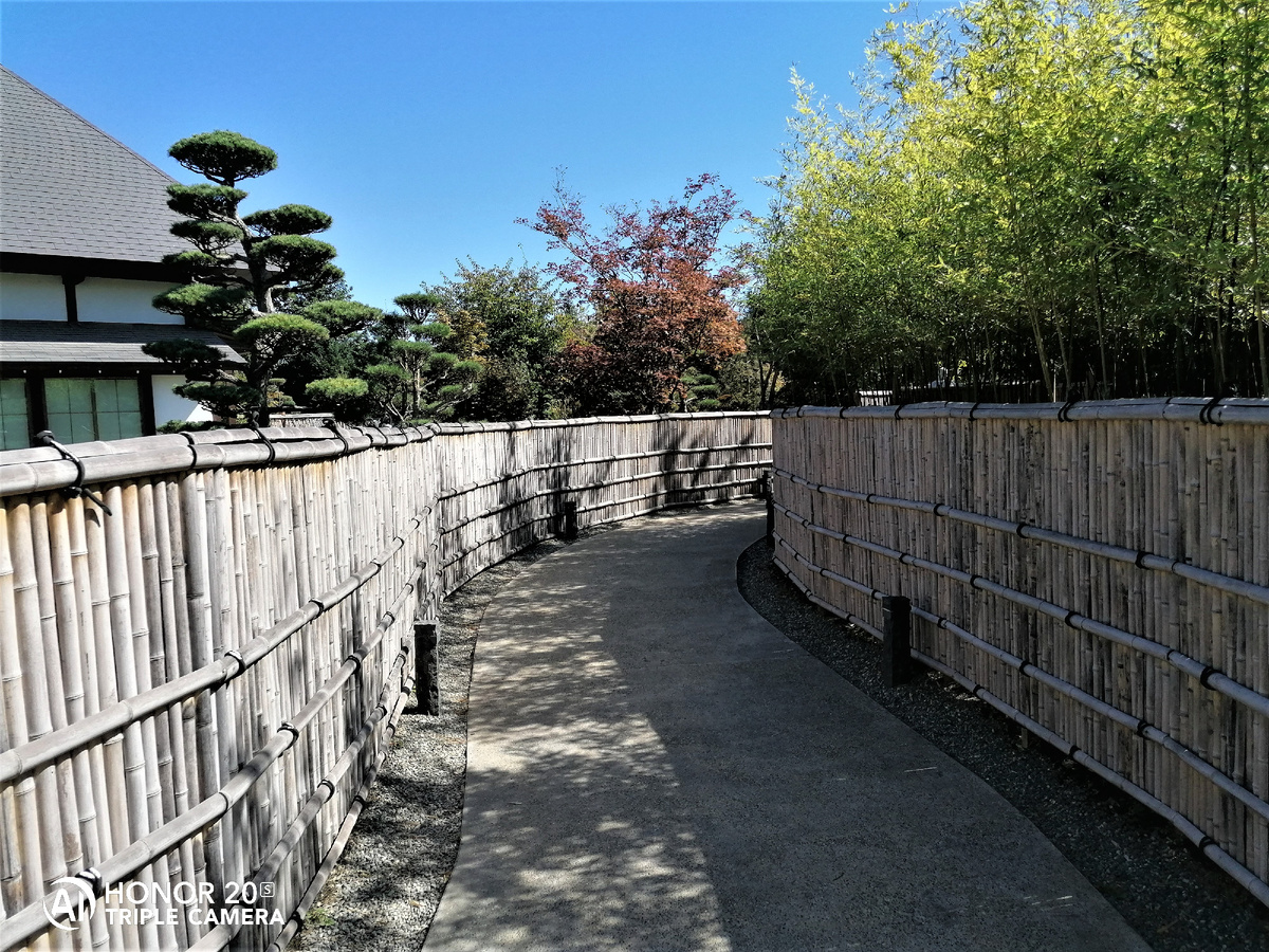 Слева видно кусочек здания  музея,  забыла сфотографировать фасад. 