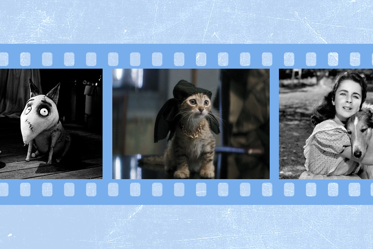     Не только "Хатико": 9 фильмов и один сериал о домашних животных