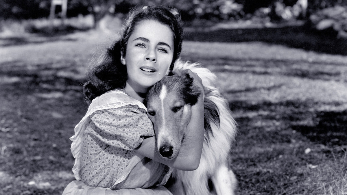    Кадр: фильм «Лэсси возвращается домой» (1943)/Metro-Goldwyn-Mayer