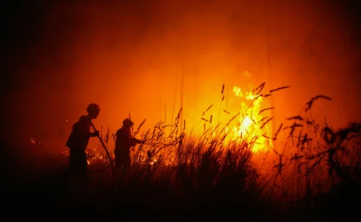 Источник: https://news.okezone.com/