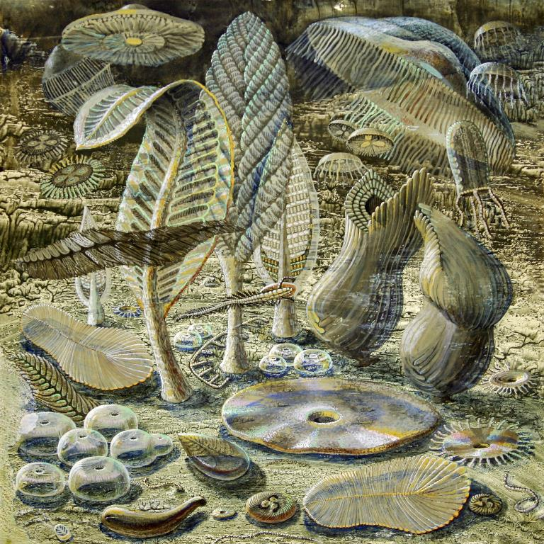 Эдиакарское море