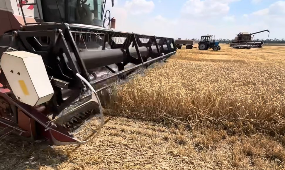 Фото: Prt Scr youtube.com / PRO AGRO 