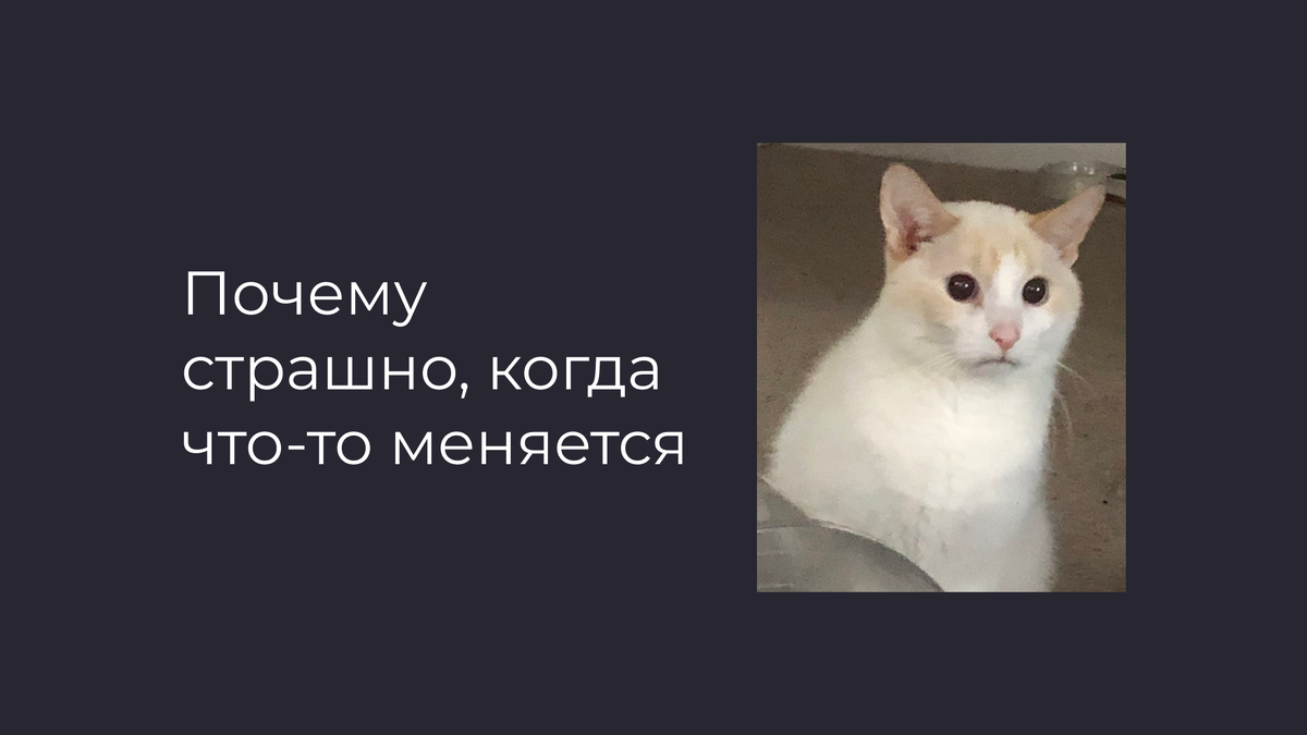 Страх перед переменами. Натали Поленова, психолог. Онлайн и очно (СПб)