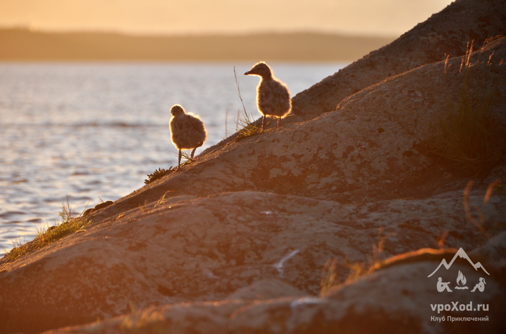 Автор фотографии: Алексей