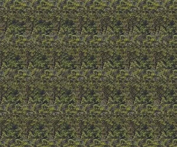 Стереокартинка - 2