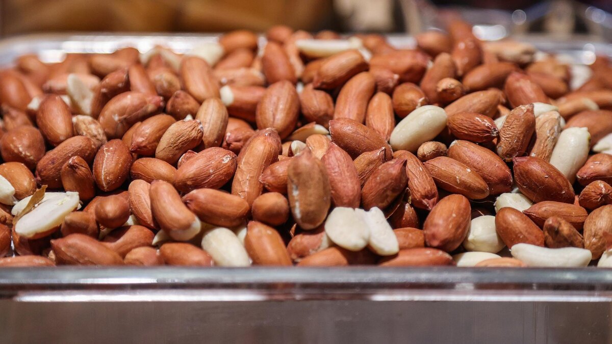 Фото: Bulkin Sergey/news.ru