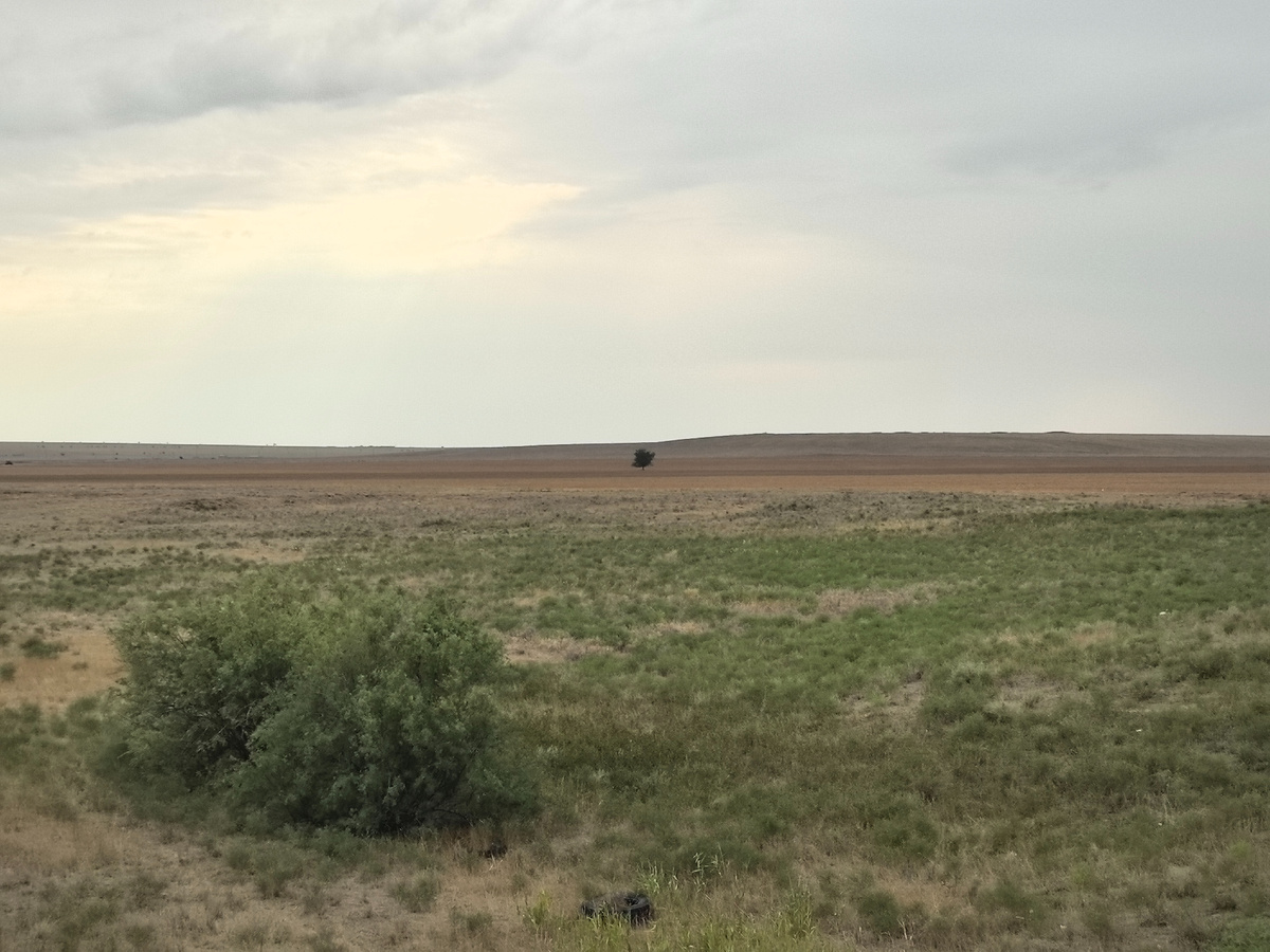 Степи Калмыкии. Фото автора канала