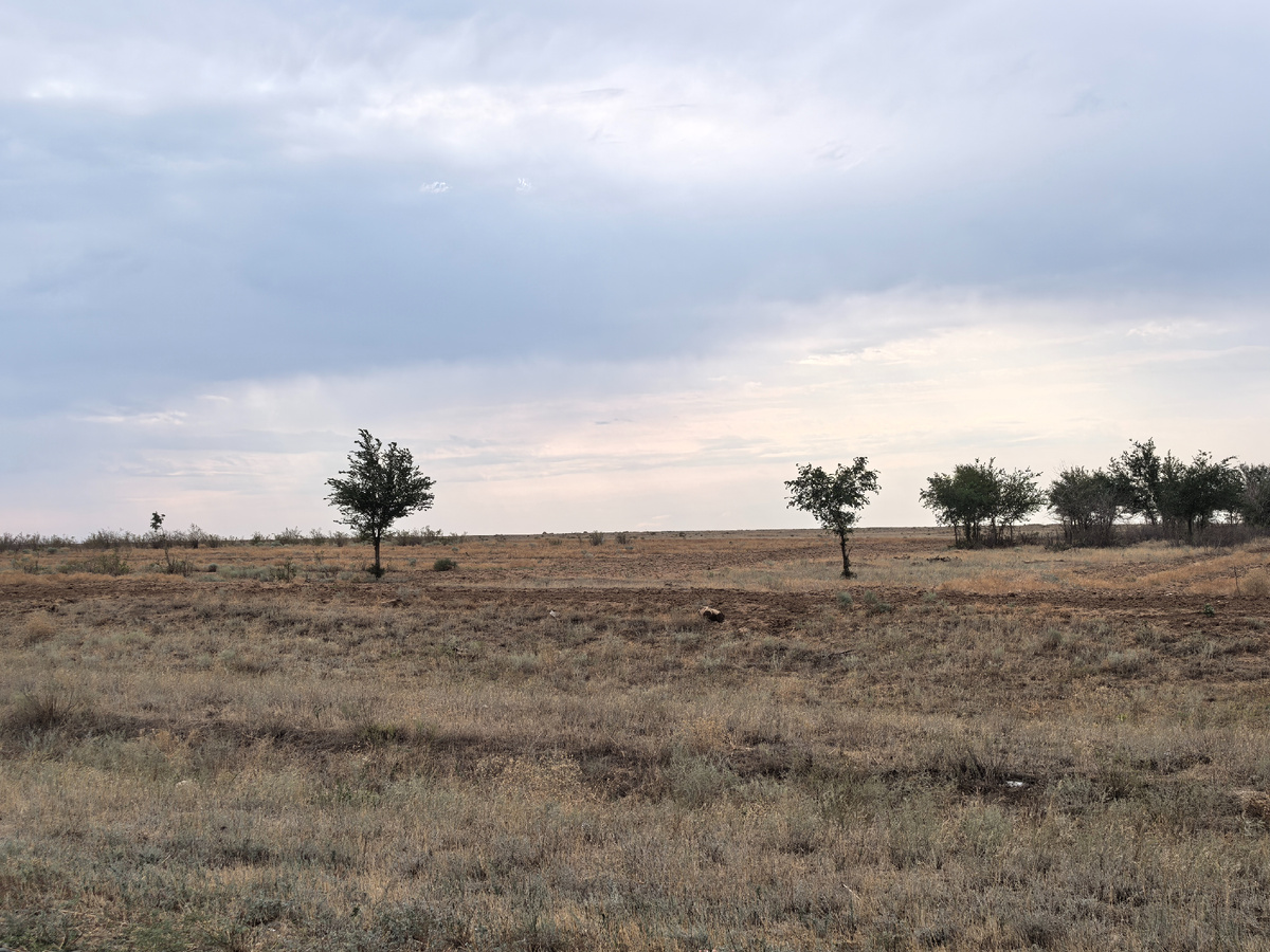 Степи Калмыкии. Фото автора канала