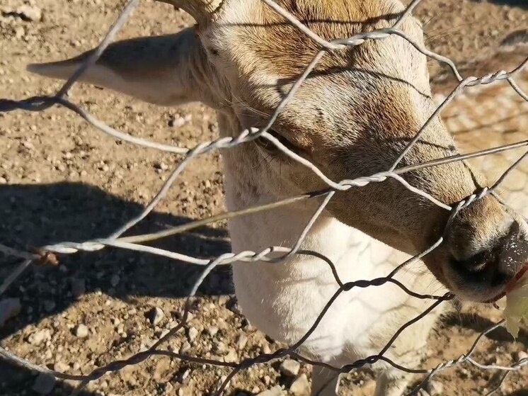     Фото: Архив МК в Великом Новгороде / Марина Гончарова