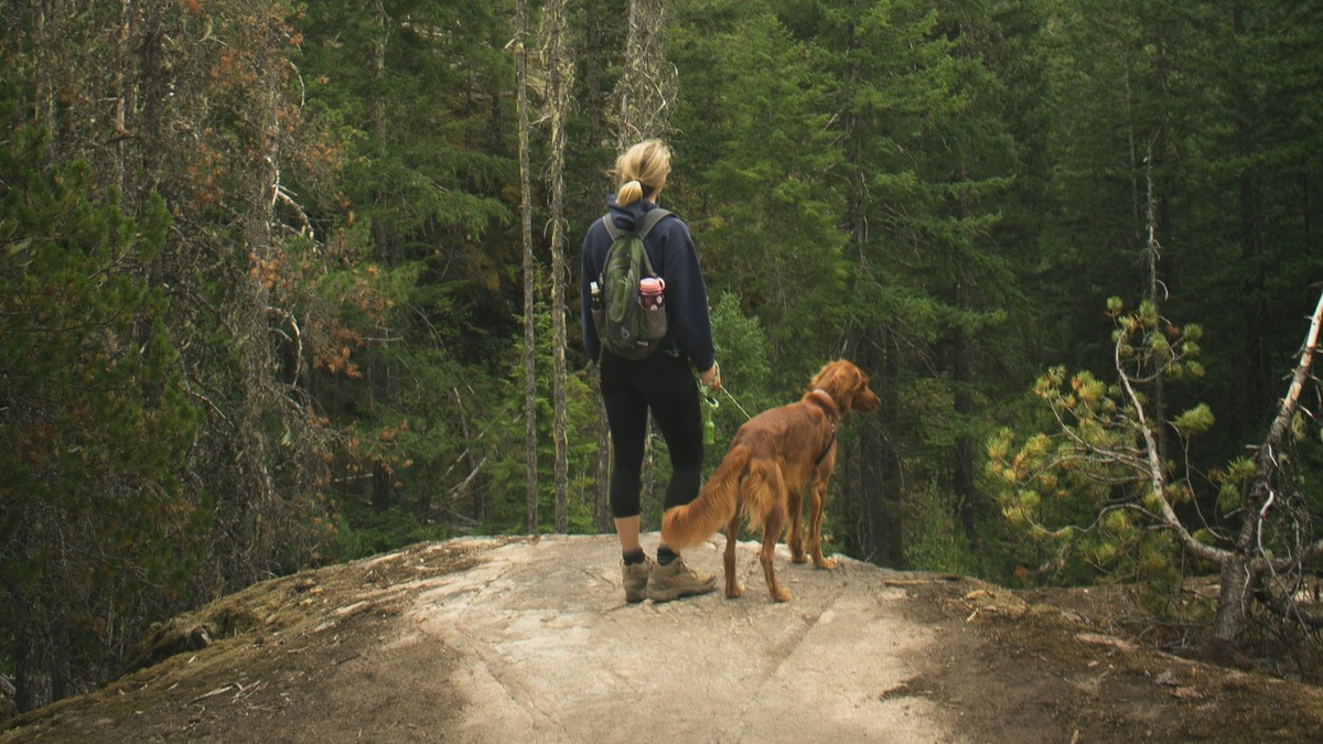    Природа становится еще прекраснее, когда делишь ее с верным спутником