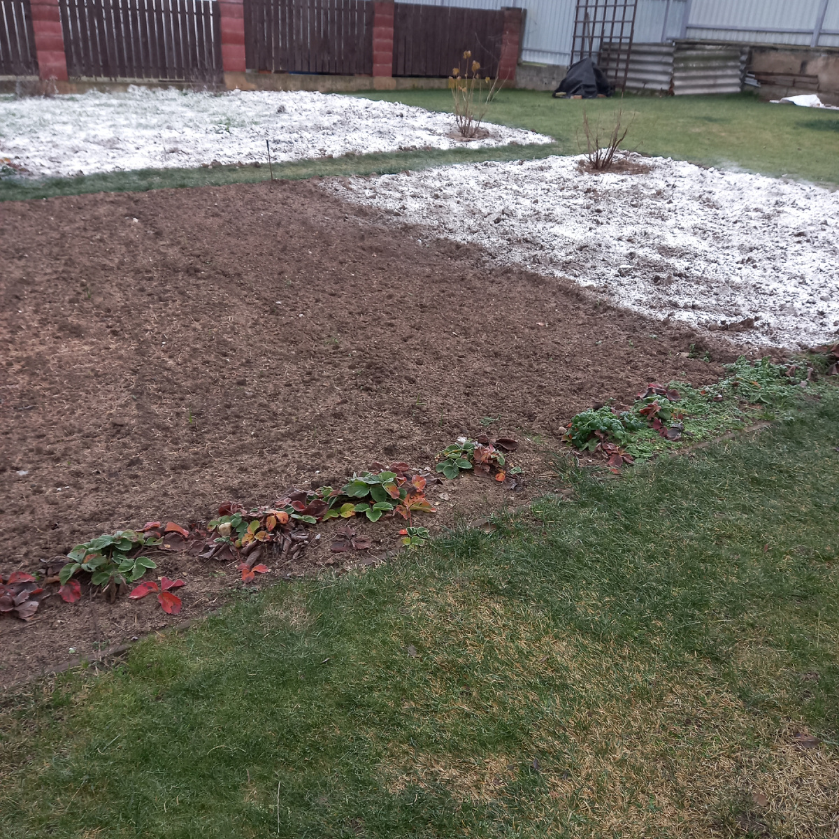 Раскисление почвы гашеной известью