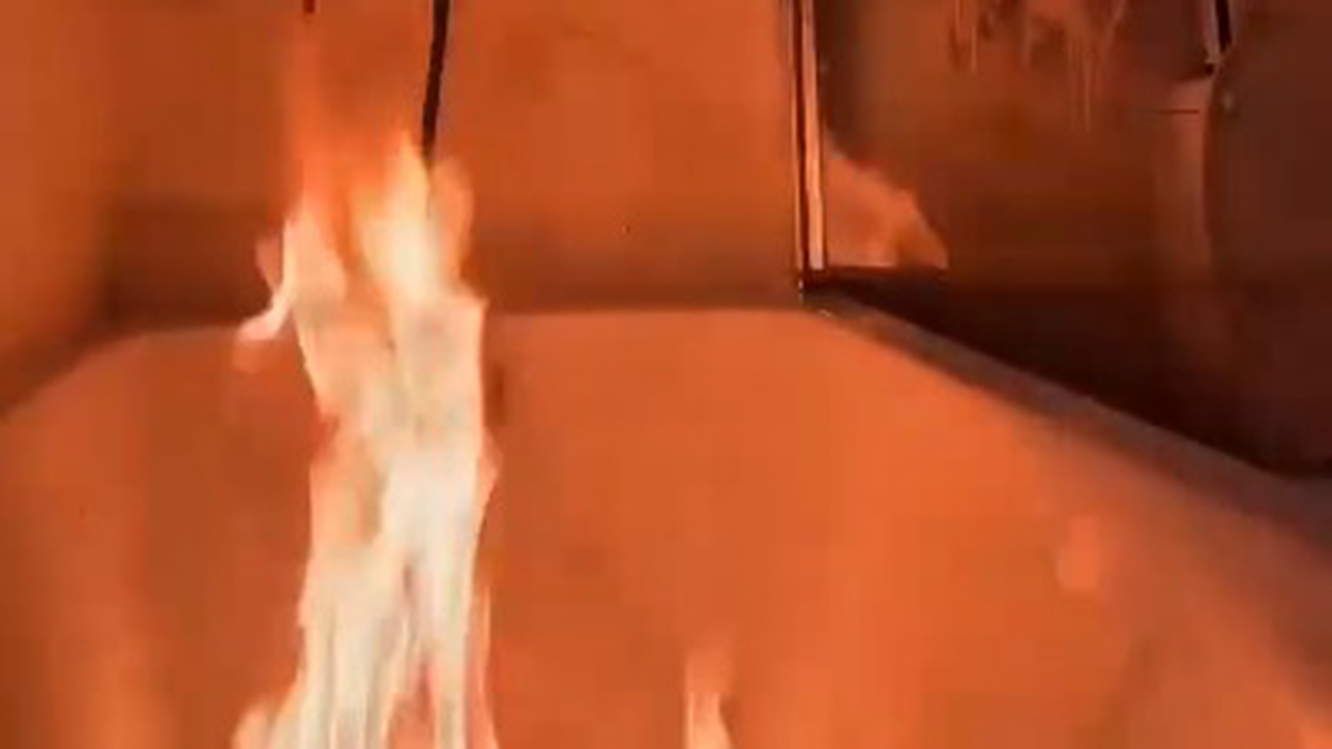    Фото: Скриншот видео / Baza / Telegram