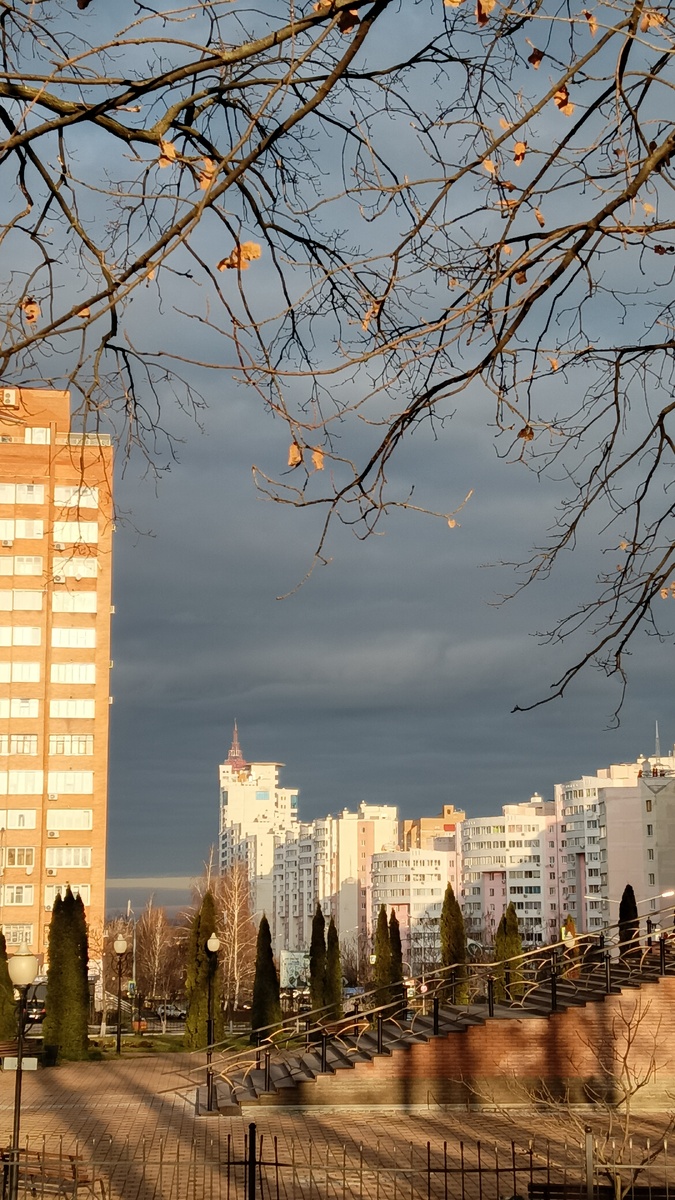 По дороге на работу м-н Степной