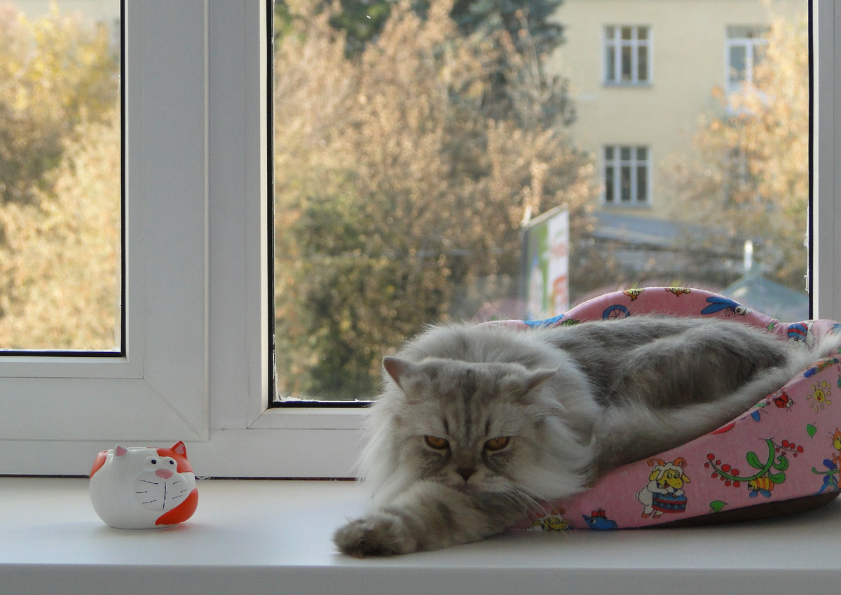 Бастиан. Фото из архива автора