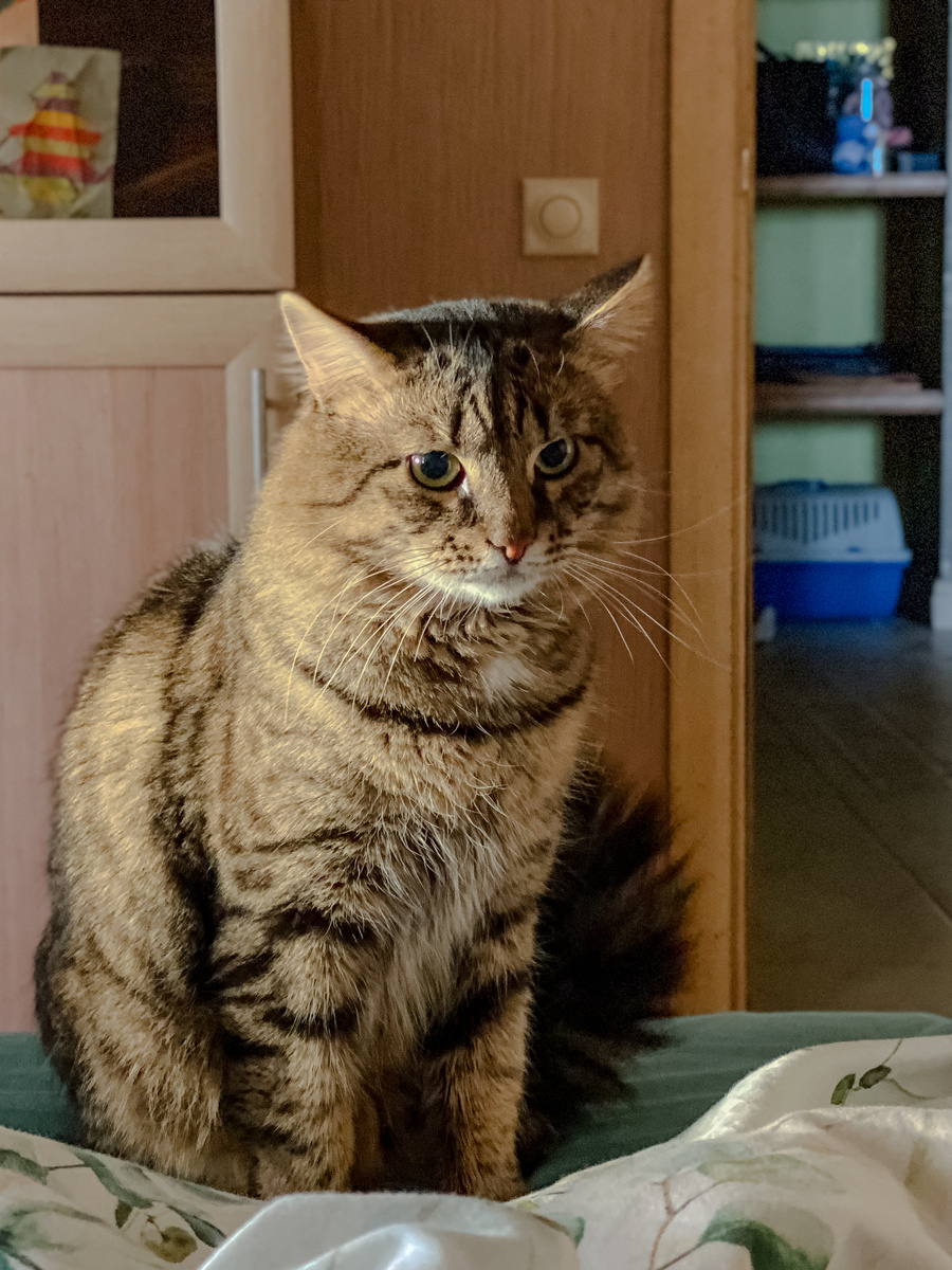 на этом снимке он как раз после процедуры целования 😂