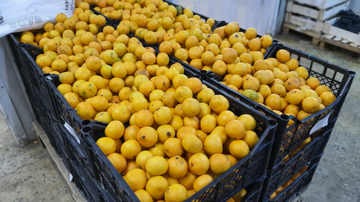 Авторское фото