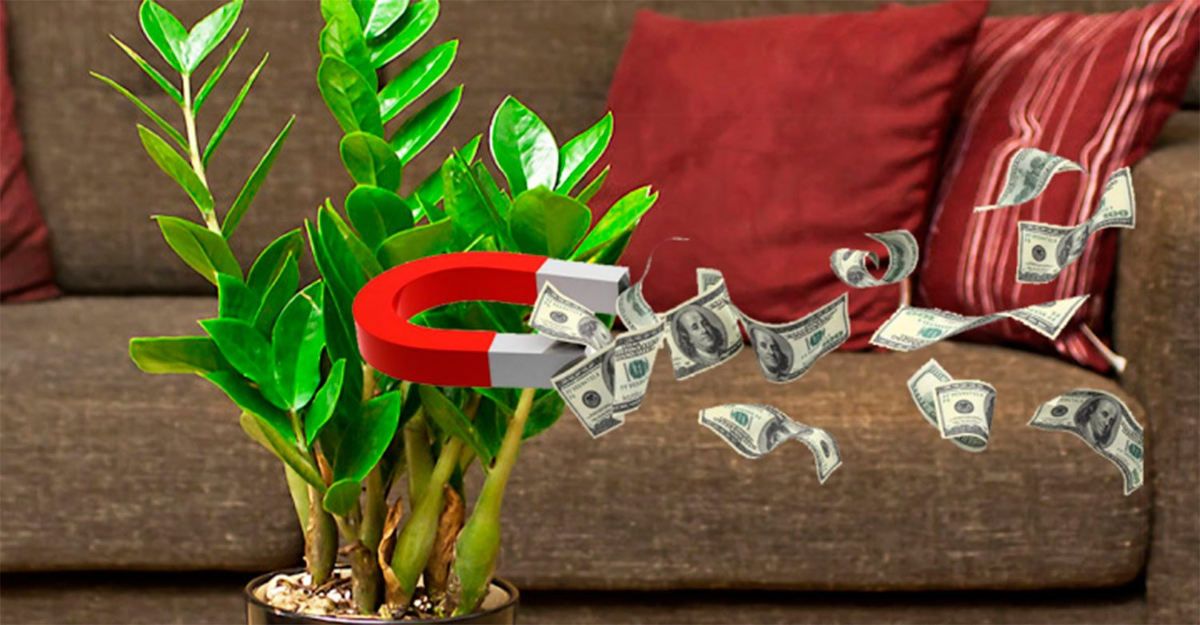 источник antonia-tex.ru