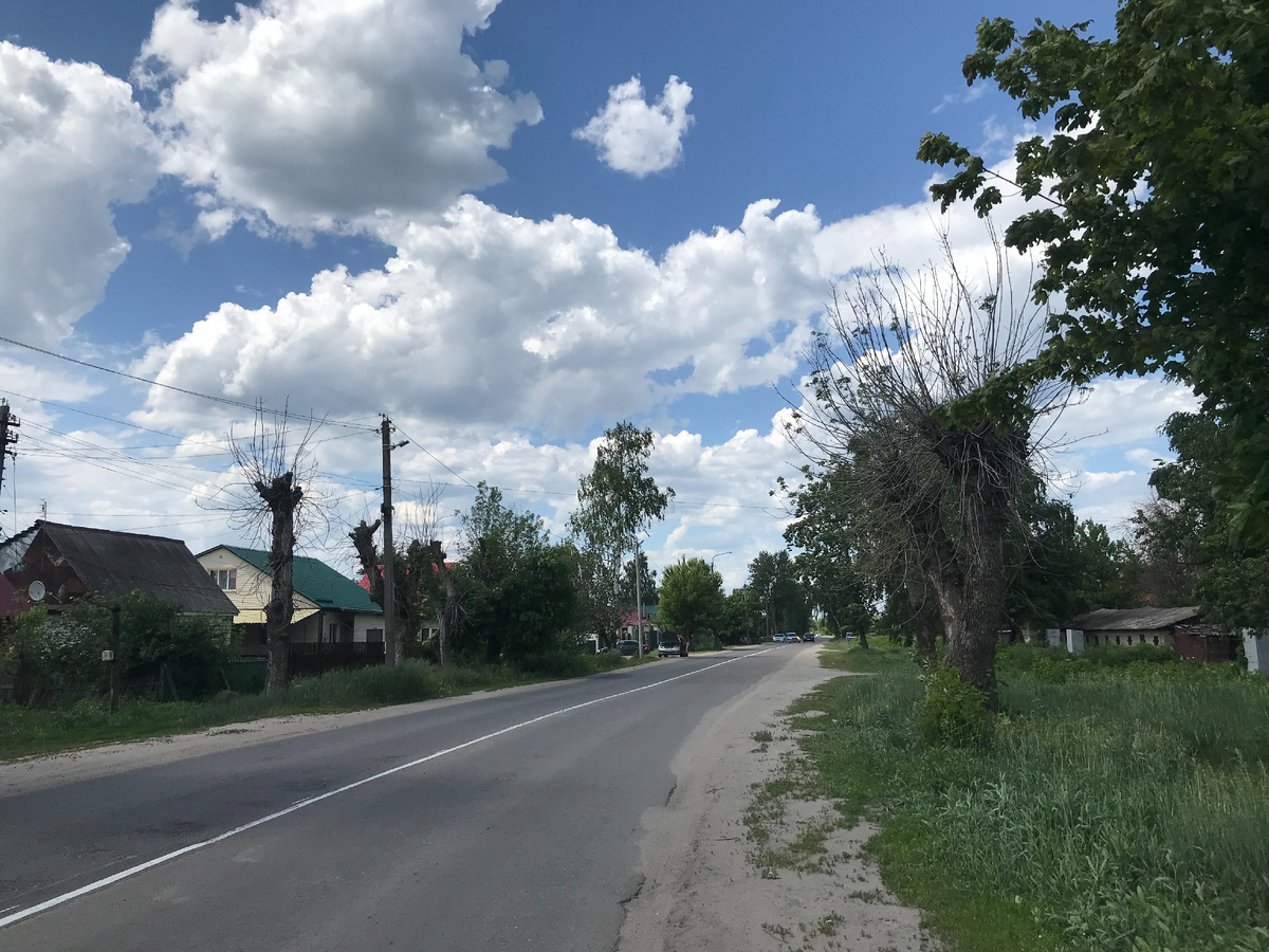 29 мая 2025 12:11