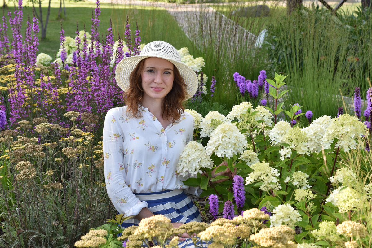 На фото - гортензия метельчатая, лиатрис колосковый, дербенник прутовидный, тысячелистник обыкновенный