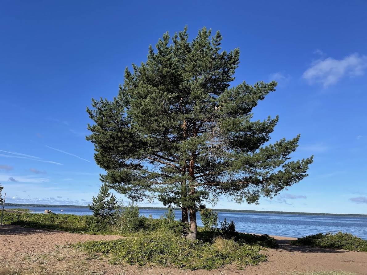 Пролив Бьёркезунд 