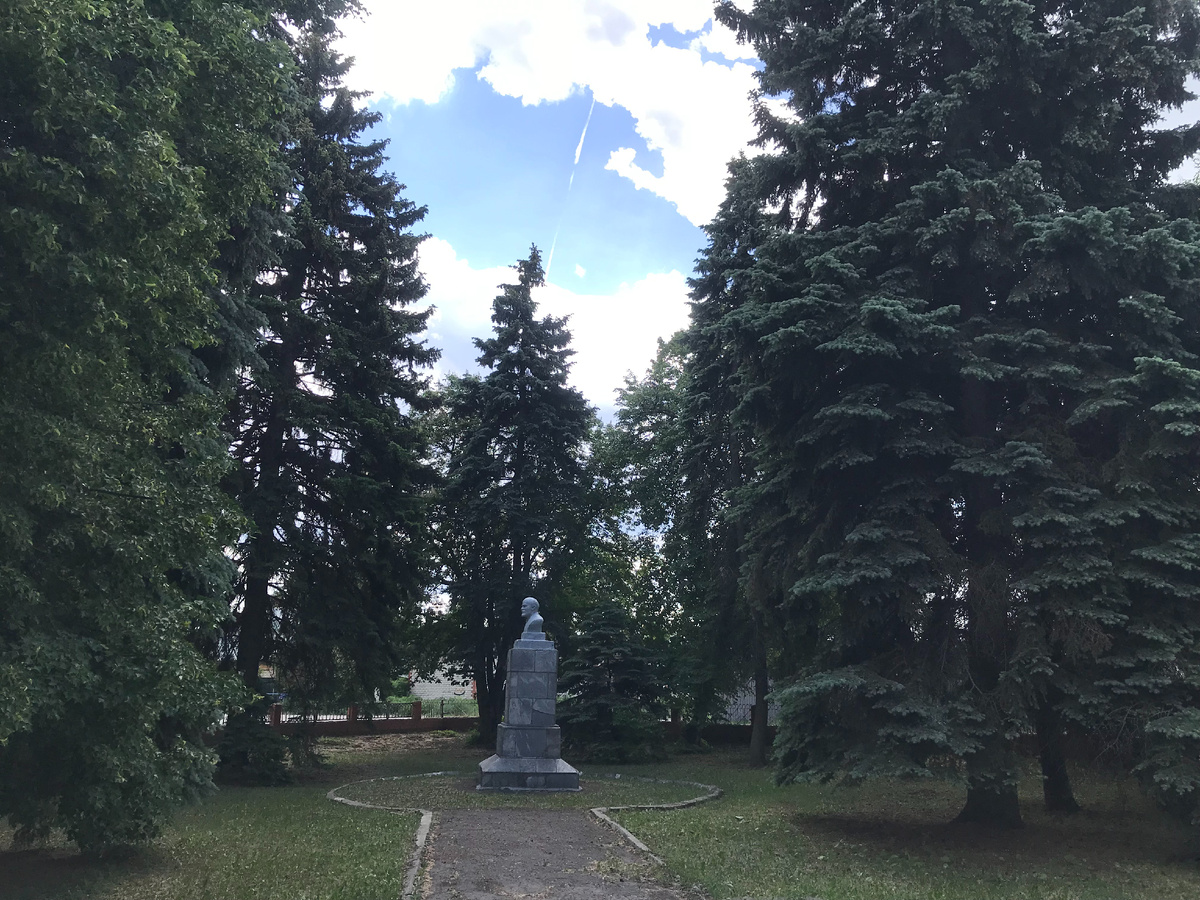 29 мая 2025 12:19