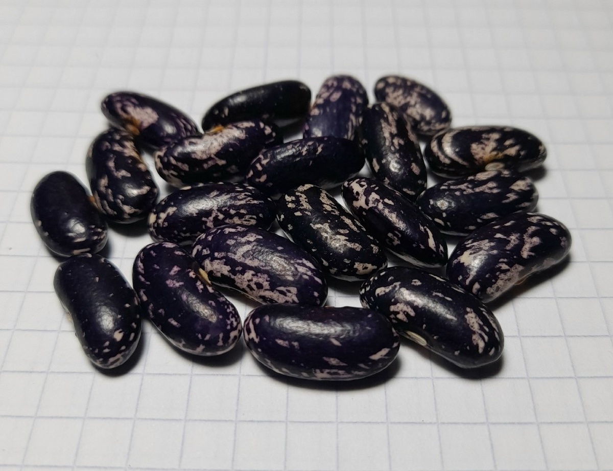 Кавказская