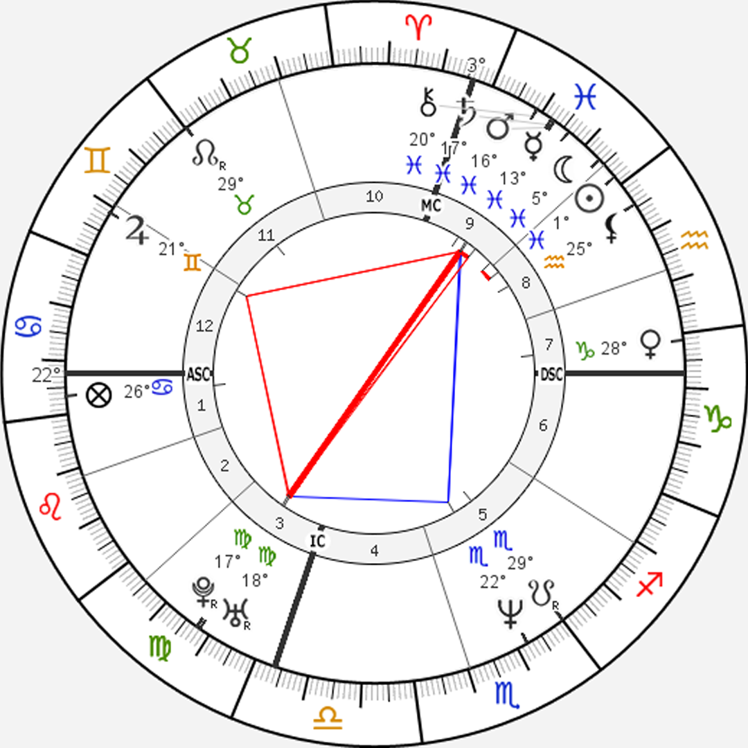 стеллиум в Рыбах