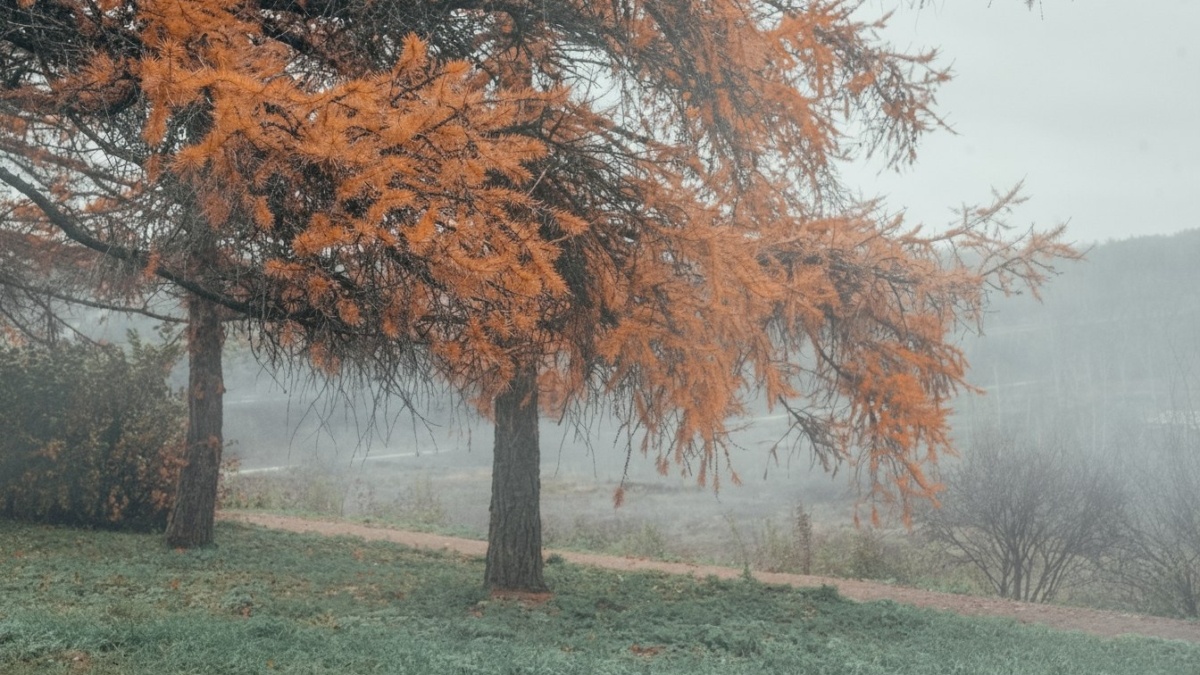 Светлана Мулыкина📷
