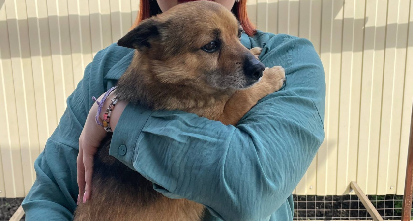    Фото из архива редакции