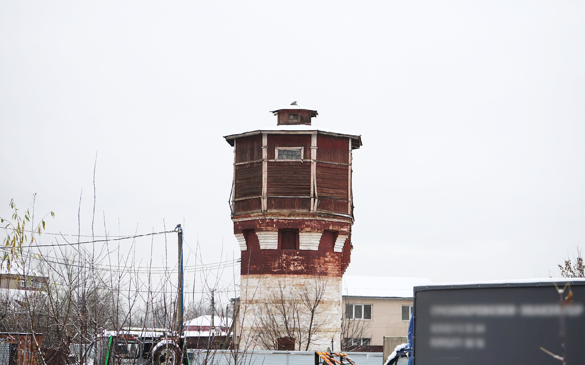 Середина ноября 2025 года в Подмосковье, фото автора