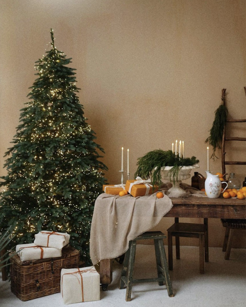 Новогодняя фотосессия в студии