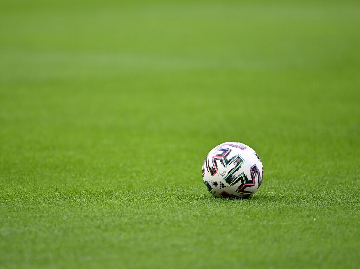    Мяч на футбольном поле© РИА Новости / Павел Бедняков