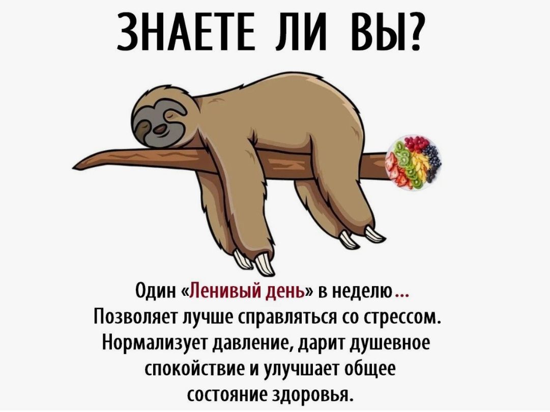 ПРАКТИКА «ЛЕНИВЫЙ ДЕНЬ». фото из открытого источника